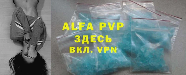 стаф Абинск