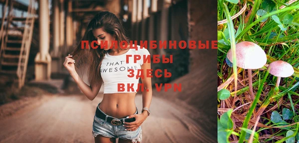 стаф Абинск