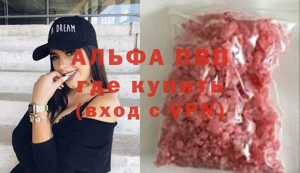стаф Абинск
