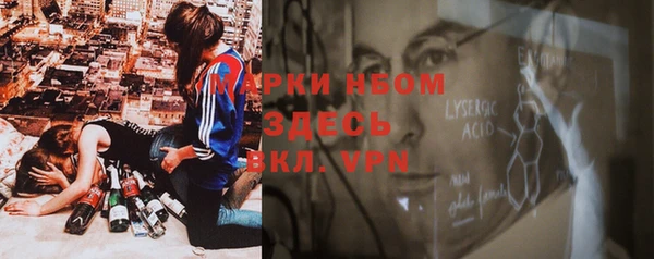 стаф Абинск