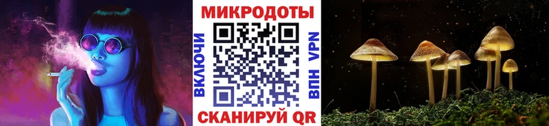 блэк спрут ссылка  Лосино-Петровский  Псилоцибиновые грибы прущие грибы  закладки 